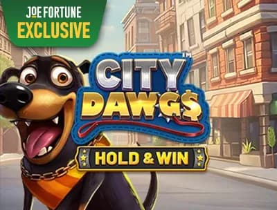 City Dawgs 