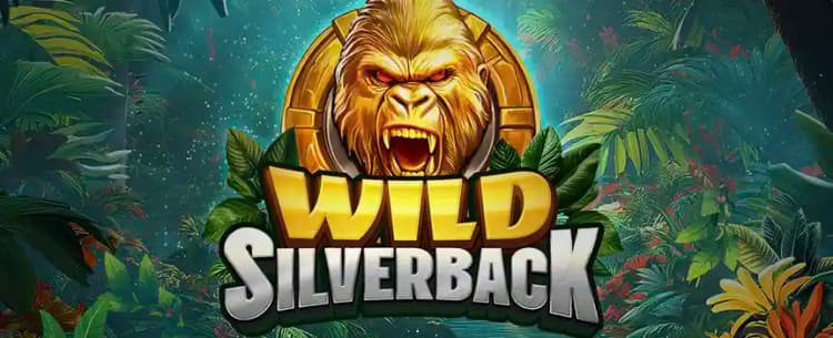Wild Silverback